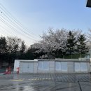 언남주유소 이미지