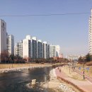 아이엠토탈짐 이미지