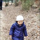 재은목장 이미지