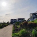 제주542펜션 이미지