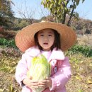 꿈내리어린이집 이미지