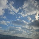 터미널스타약국 | 대마도 니나호 🚢✨ 탑승 ,멀미 정보, 니나호 결항 여부!,부산국제여객터미널약국에 아기약 안팔아요!