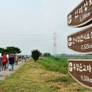 버그내순례길 한국일보