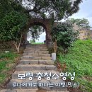 수영성횟집 | 동백꽃 필 무렵 촬영지, 보령 충청수영성 일몰 산책(ft. 오천항)