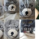 레이첼약국 이미지