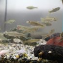 푸른산민박 이미지