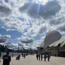 스테디 짐 이미지