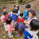 10.26-지역사회연계:초안산하늘꽃정원 산책 / 10.27-산책: 덜꿩열매와 나뭇잎 놀이하기 및 다함께 고기 먹는 날 이미지