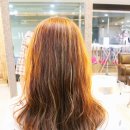 더베스트헤어 이미지