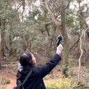 (주)세일헬스케어 이미지