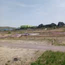 복하천 2 이미지