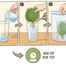 꽃꽂이A 이미지