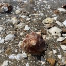 바이드302 이미지