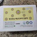 단호박찹쌀떡 추천, 햇살찹쌀떡 방긋웃는 해남단호박 찹쌀떡 내돈내산 구매후기(단호박맛이 진하다!~)