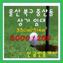 미라주 골프연습장 이미지