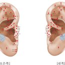 [학습반디_성곡동]이혈테라피-귀 혈자리로 배워보는 건강관리 이미지