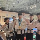 청시의지태권도 이미지