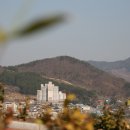 매화2공원 이미지