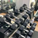 잠실재활pt 재활 중심 PT 받고 달라진 일상 머스트무브짐 잠실새내점 후기