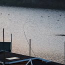 차평낚시터 이미지