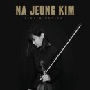 바이올린 이미지