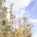 신동건축사사무소 이미지