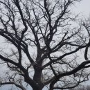 무념(無念) 이미지