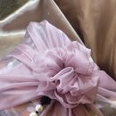 밴드홀릭&단프룻 이미지