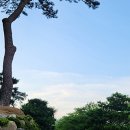 운촌삼거리 이미지