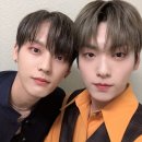 이차이 이미지
