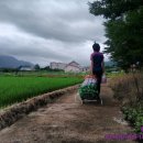 초당농장 이미지