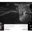 소 이야기 이미지