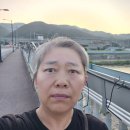 8.7.금.사랑스런 우리집 문패꽃, 맨드라미 이미지