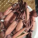 미스터봉포 - 의왕시 부곡시장4길 13 | 미스터봉포