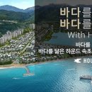 블루스테이 이미지