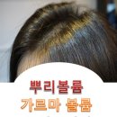 미샵헤어 - 서구 | 미샵헤어