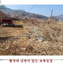 엔도르핀농장 Daum카페