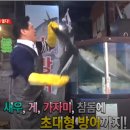 어촌회마을 이미지