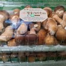 성산 농장 이미지