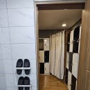 점핑캣반구점 | 점핑캣반구점 점핑캣 울산반구점에서의 잊지 못할 체험