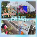 국수나무장기점 | 2026 제 30회 한라산 청정 고사리축제 제주도 고사리 따러 다녀온 후기