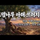 로뎀나무 아래 Daum카페