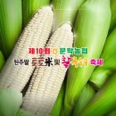 문막생활체육시설 축구장 이미지