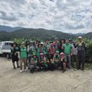 개나리마을 이미지