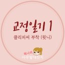 (주)에스디알앤디 | [교정일기 | 돌출입교정] 광천 에스디치과 / 상담후기 + 클리피씨 부착 후기