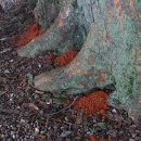 부산 벡스코 건축박람회에서 이미지