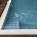 브리즈번 101 이미지