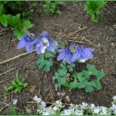 아가둥지 어린이집 이미지