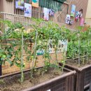 동인 느티나무 도서관 이미지