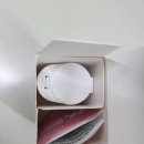 여성유산균 질유산균추천 지노마스터 리스펙타유산균 예비신부 결혼준비 필수템 추천